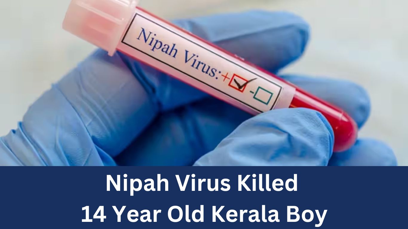 Kerala: Nipah Virus Killed 14 Year Old Kerala Boy