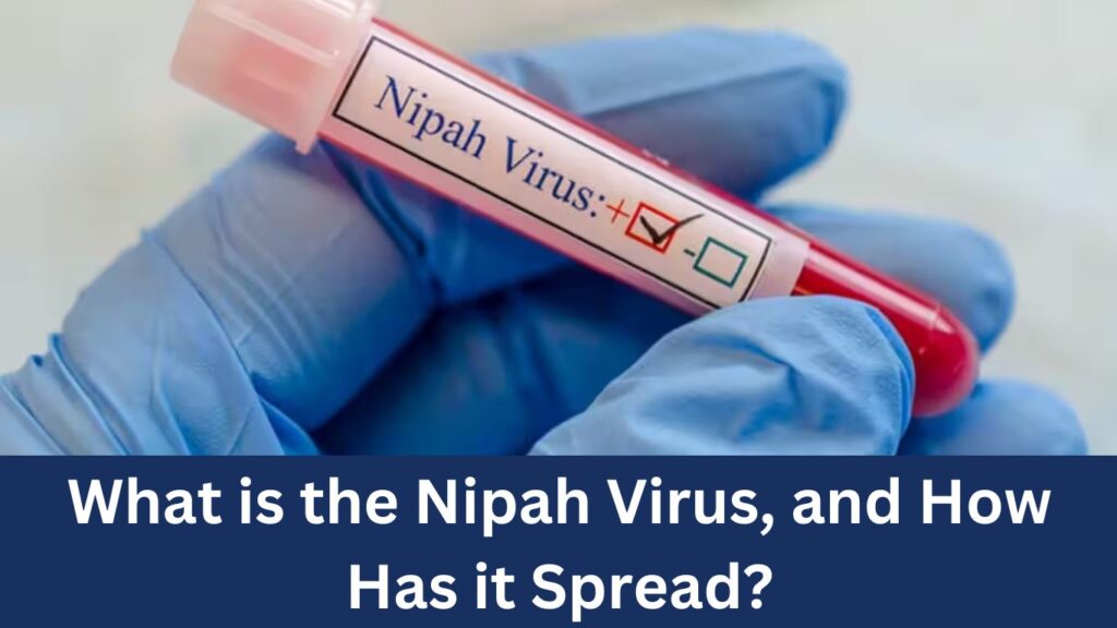 What is the Nipah Virus, and How Has it Spread?